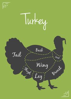 a turkey diagram with the words turkey written across it's body, and an image of