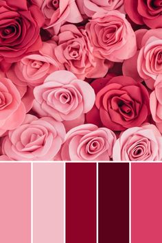 pink and red color scheme with roses