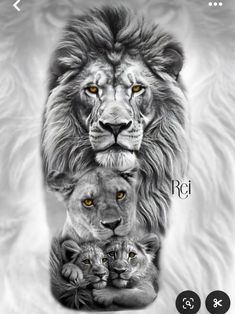 the lion family is depicted in this black and white photo, which features yellow eyes