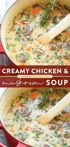 303 reviews · 30 minutes · Serves 6 · One of the best soup recipes ever! So rich and creamy, this Mushroom and Chicken Soup makes the perfect fall comfort food. Plus, this dinner idea is ready in 30 minutes! Save this chicken recipe! Creamy Chicken And Mushroom Soup, Chicken And Mushroom Soup, Chicken And Mushroom, Fall Comfort Food, Fall Dinner Recipes, Chicken Soup Recipes, Fall Dinner