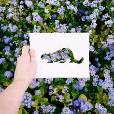 a person holding up a piece of paper with an image of a lizard on it