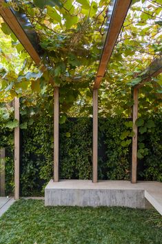 an outdoor area with green plants and concrete benches under a pergolated roof, surrounded by greenery