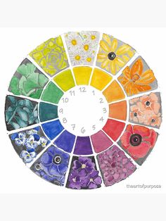 the color wheel is filled with many different colors and designs, including flowers on each side