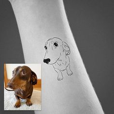 a drawing of a dachshund dog on the left side of a foot