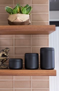 three candles are sitting on a shelf next to a potted plant in a vase