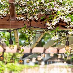 several light bulbs hanging from a wooden structure with white flowers on the branches and green leaves