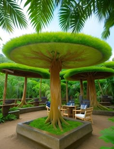 a large tree covered in lush green grass next to chairs and tables on a dirt ground