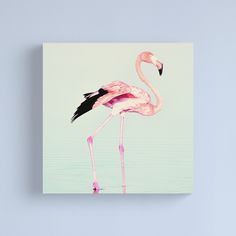 a pink flamingo standing in the water on a blue background canvas print