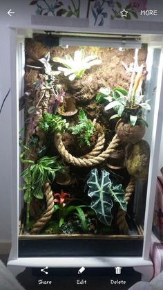 a fish tank filled with lots of plants and other things in it's display case