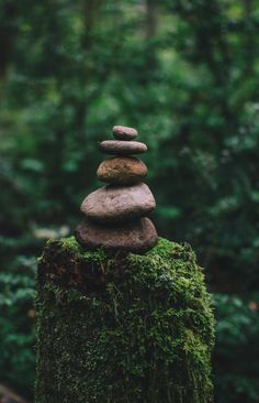 a stack of rocks sitting on top of a moss covered log