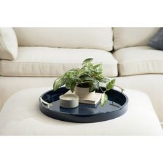 a living room scene with focus on the coffee table and plant sitting on it's tray