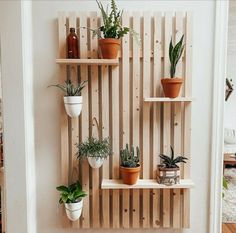 several potted plants are arranged on wooden shelves in a room with white walls and wood flooring