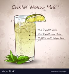 a cocktail with lemon and mint in a tall glass on an old paper texture background