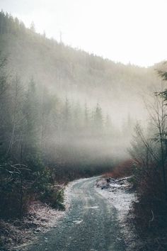 a dirt road surrounded by trees and fog