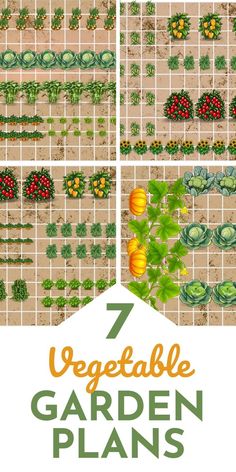 the garden plan is shown in four different stages