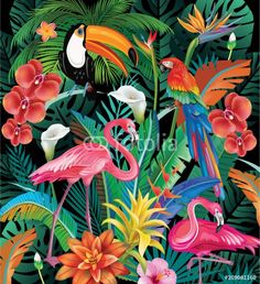 colorful tropical birds and flowers in the jungle