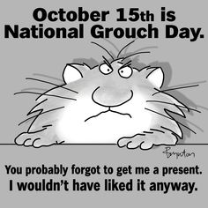 a poster with a cat saying it is national grouch day