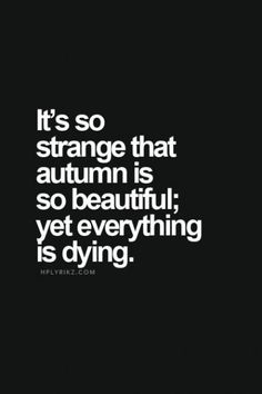 the quote it's so strange that autumn is so beautiful yet everything is dying