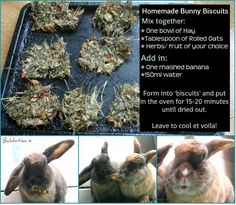 four pictures showing how to make homemade bunny biscuits for rabbits and bunnies