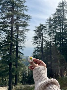 a woman's hand holding a flower in front of some pine trees and blue sky