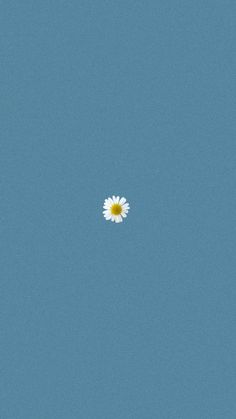 a single white flower floating in the sky