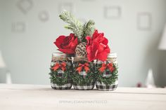 three mason jars with red flowers and pine cones in them are sitting on a table