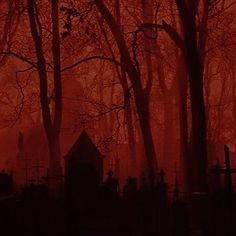 a cemetery in the middle of a forest at night with red light coming from behind it