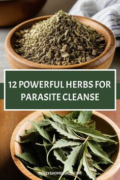 Anti Parasite Diet, Anti Parasite Cleanse, Natural Parasite Cleanse, Herbal Parasite Cleanse, Medicine Recipes, Feeling Sluggish