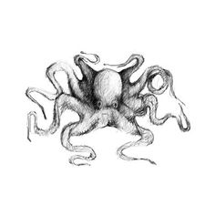 an octopus is drawn in black and white