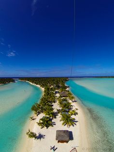 an aerial view of a tropical island with palm trees