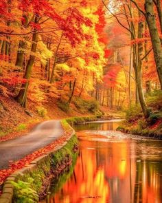 Equinox Aesthetic, Autumn Leaves Art, Fall Country, Water Photography, Winding Road, Autumn Scenery, Natural Scenery, Fall Pictures, Painting Lessons