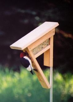 a bird feeder with a red and white bird on it's side hanging upside down