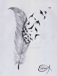 a drawing of a feather with birds flying around it