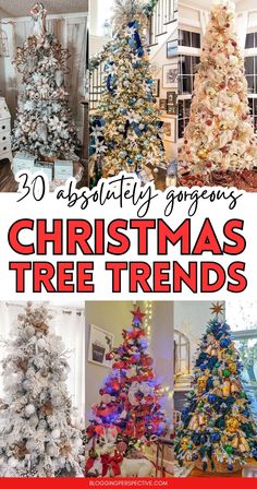 there are many different types of christmas trees in this collage with the words, 30 absolutely