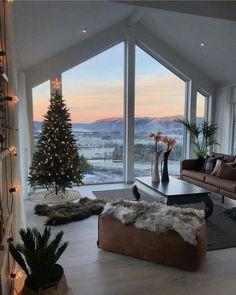 a living room filled with furniture and a christmas tree in the middle of it's windows