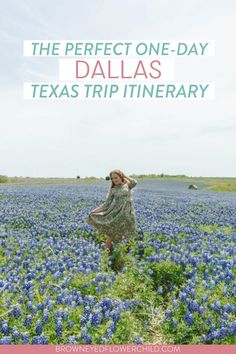 the perfect one - day texas trip itinerary