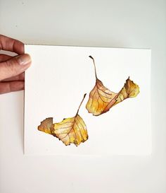 a hand holding up a piece of paper with two leaves on it, and one leaf has fallen off