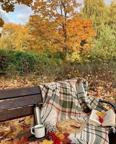 a blanket, cup and book are sitting on a park bench in the fall leaves