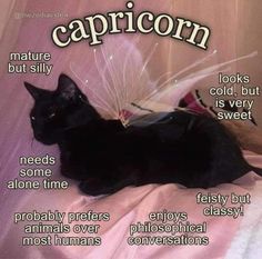 a black cat laying on top of a pink sheet with captions about it's uses