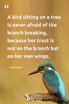 a bird sitting on a tree branch with a quote