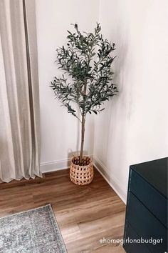 a small potted tree sitting on top of a wooden floor next to a window