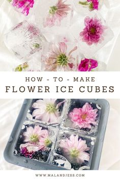 how to make flower ice cubes with text overlay that reads, how to make flower ice cubes