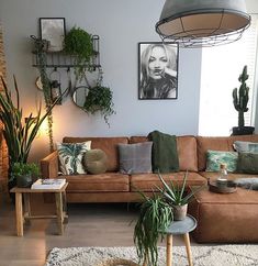 a living room filled with furniture and plants