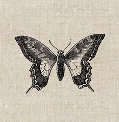 a black and white drawing of a butterfly