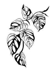 a black and white drawing of two leaves