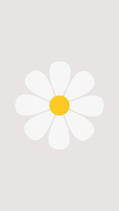 a white and yellow flower on a gray background