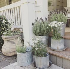 three metal buckets filled with plants sitting on steps