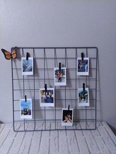 there is a metal frame with pictures on it and a butterfly sitting on the wall