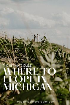 a field with tall grass and the words top places for your michigan adventure elopement