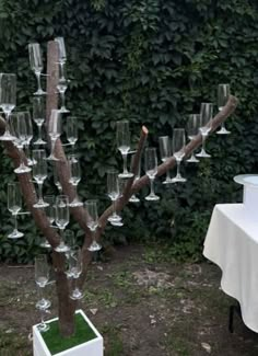 a tree with wine glasses hanging from it's branches in front of a table